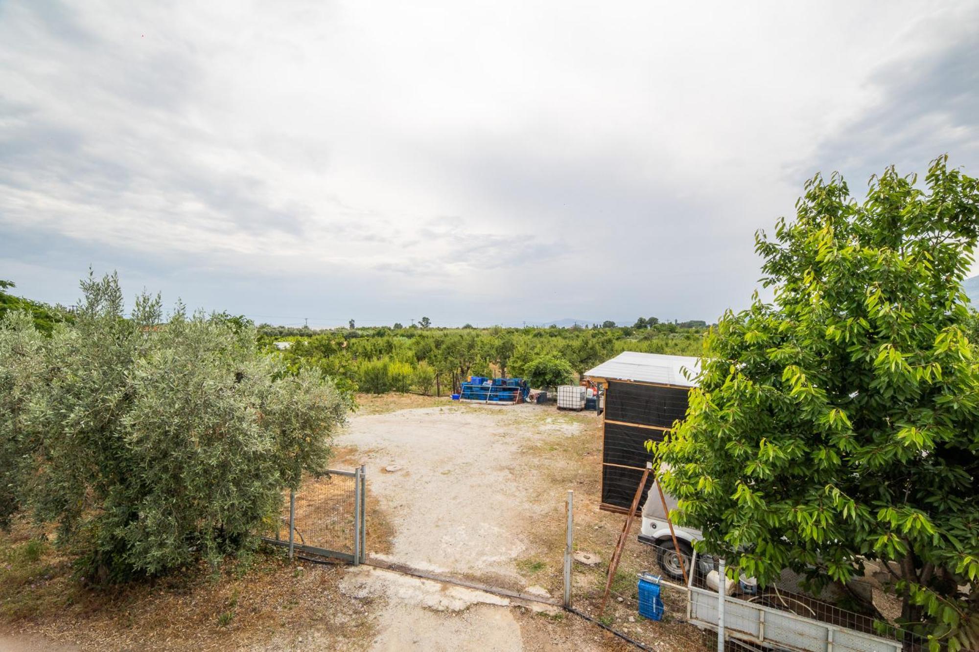 Seralis Pelion Afissos Exterior photo